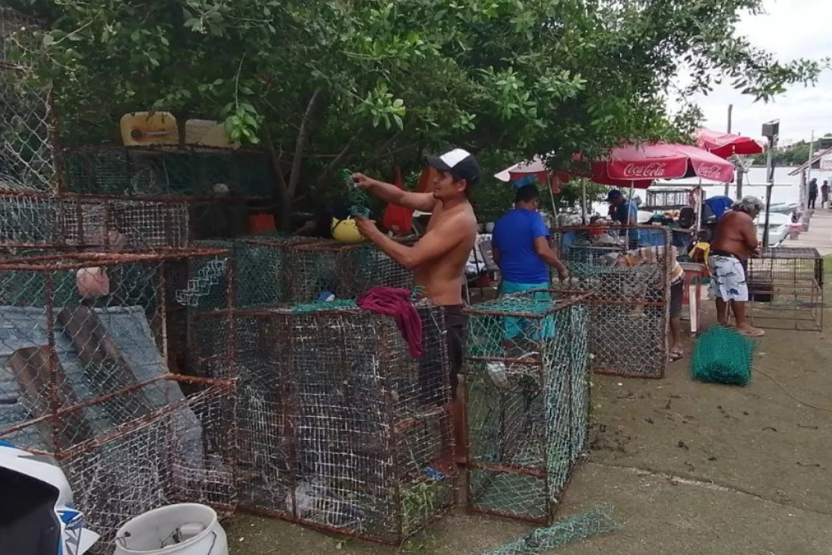 Pescadores De Isla Mujeres Pierden M S De Mdp Por La Ca Da Del