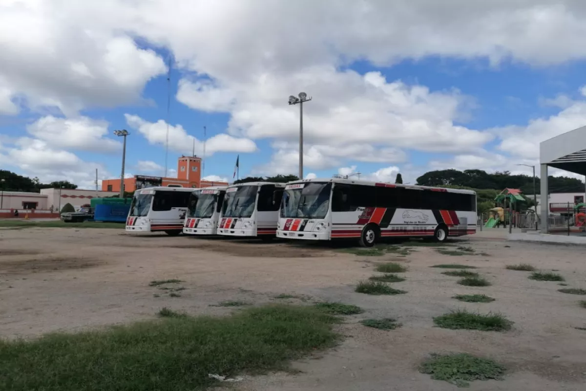 Dzilam de Bravo recibe cuatro autobuses para evacuar a la población