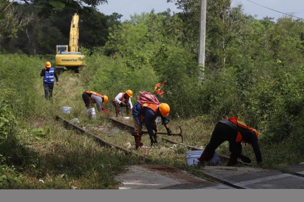 Vestigios Hallados En La Ruta Del Tren Maya Est N Protegidos Asegura