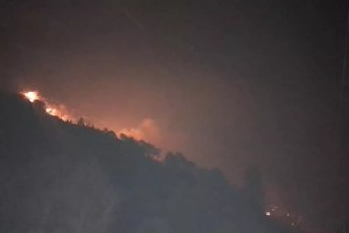 Incendio En La Sierra De Santiago Nuevo Le N Afecta Dos Mil Hect Reas