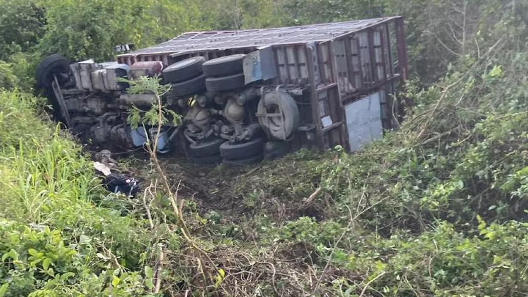 Chofer se duerme al volante y vuelva camión de cerdos en la Carmen