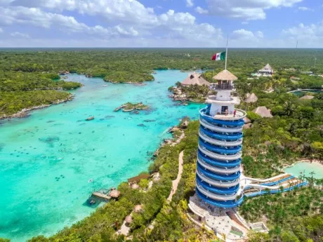 Caracol Rosado Todo Lo Que Debes Saber Sobre Este Molusco En Peligro