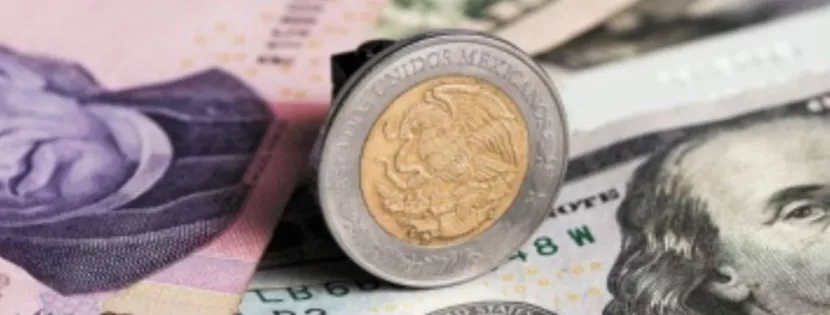 Peso Se Aprecia Hoy Jueves 20 De Junio Tras Anuncio De Gabinete De