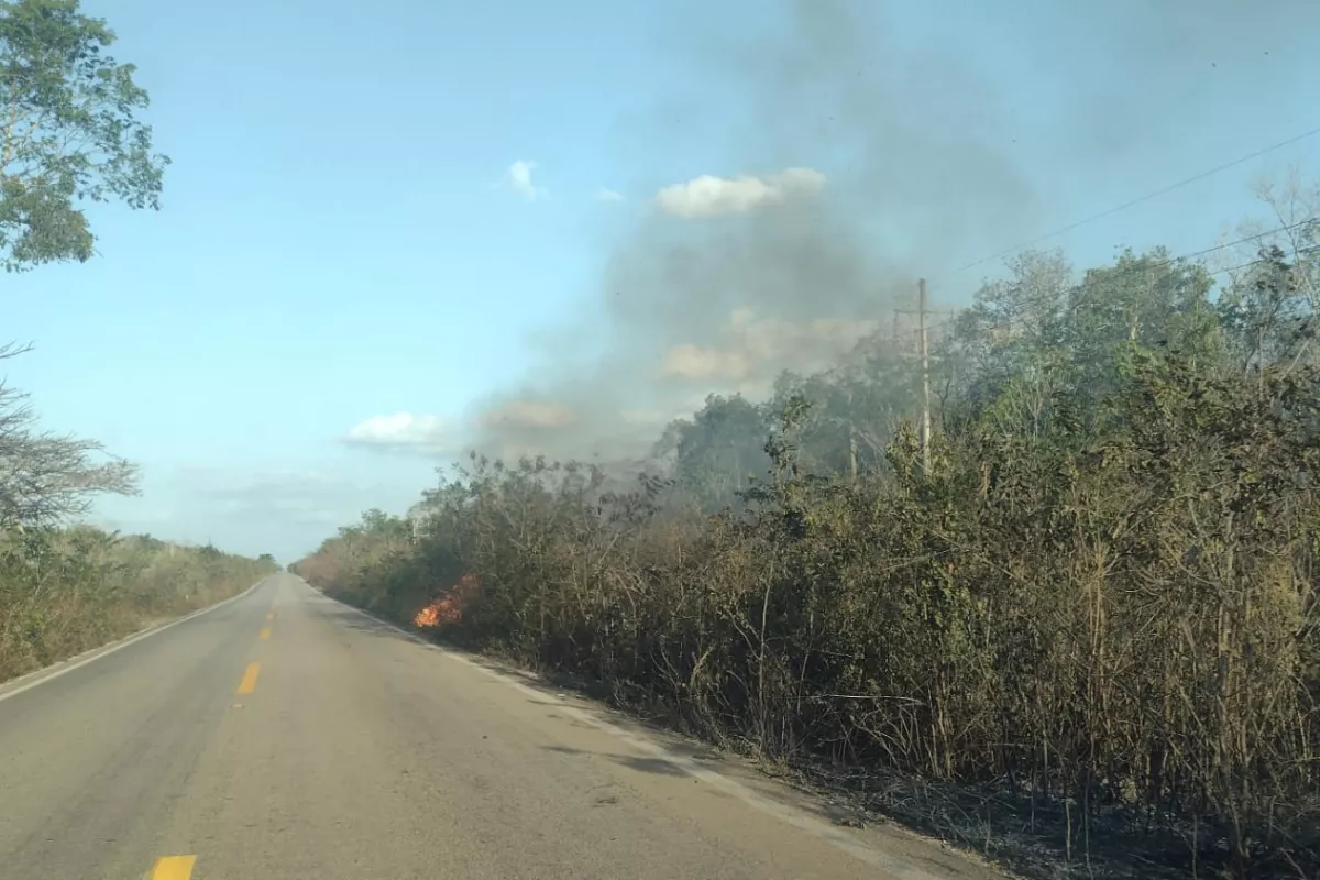 Incendios Forestales Causan Apagones En La Zona Maya De Quintana Roo