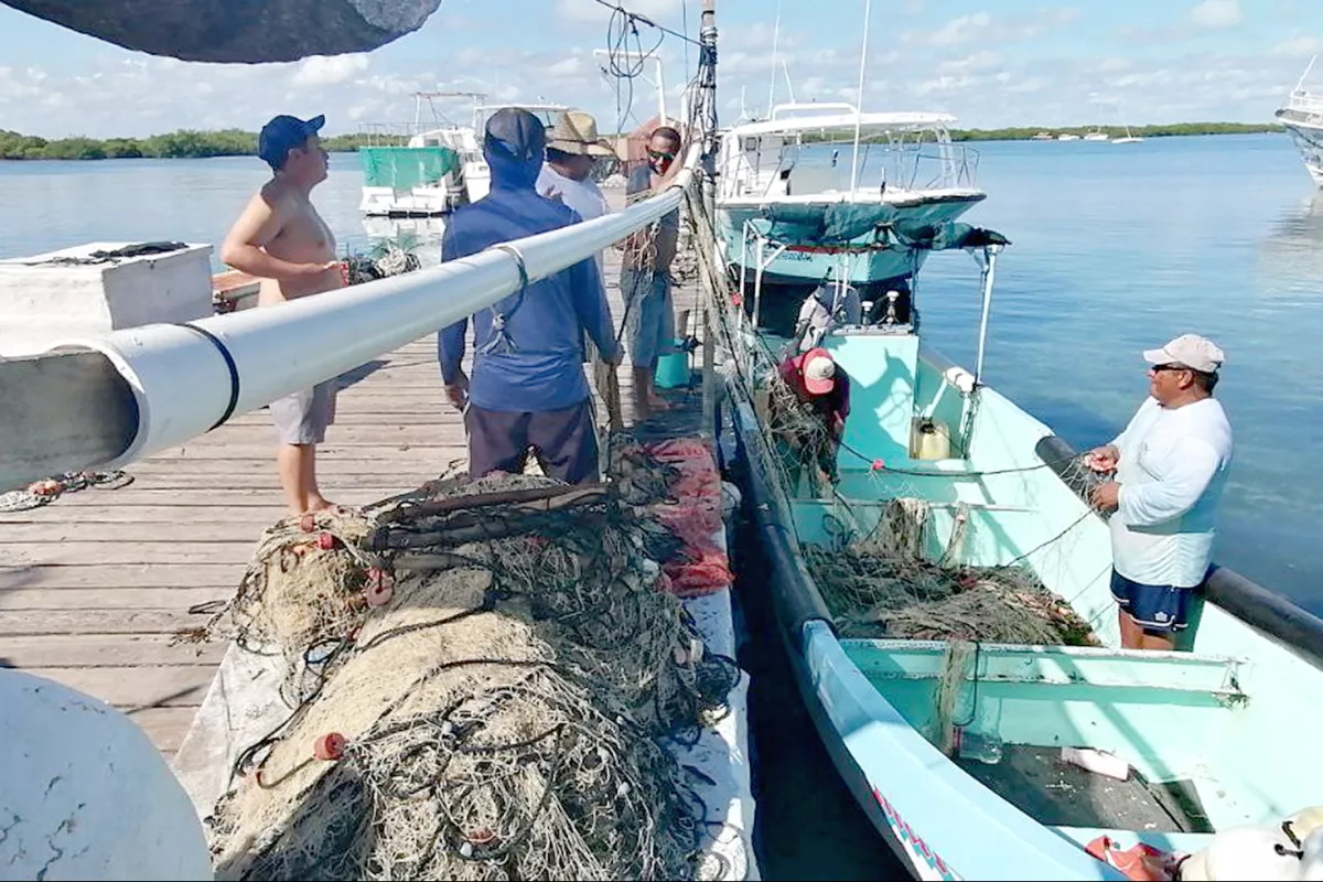 Precio De La Langosta Cae En Isla Mujeres Econom A De Pescadores