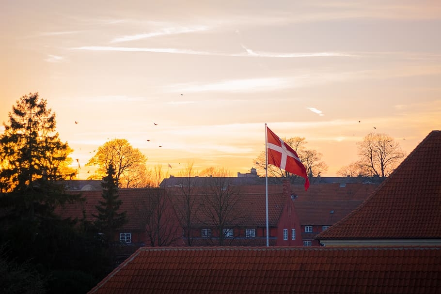 Las autoridades de Dinamarca anunciaron el levantamiento de todas las restricciones impuestas debido al brote por COVID-19