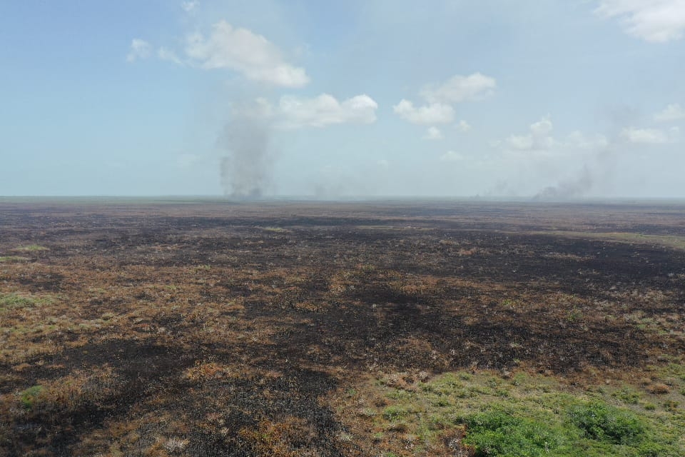 Fuego acaba con más de 4 mil hectáreas de la Sabana Santa Teresa