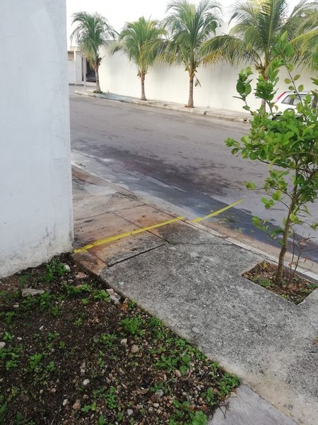 El vecino pintó hasta la calle para que respeten "su propiedad"
