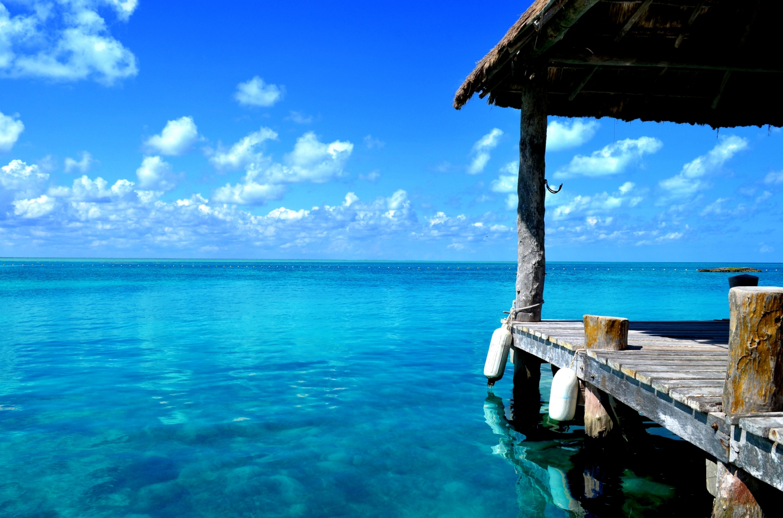 Quintana Roo: Conoce las bondades de la paradisíaca Isla Contoy