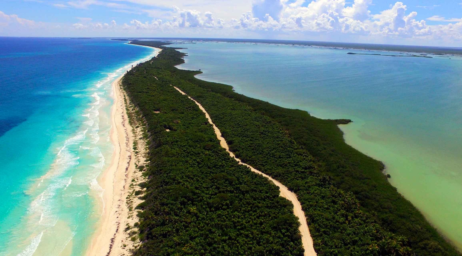 En Quintana Roo se pueden encontrar varias Áreas Naturales Protegidas que son un deleite para los amantes de la naturaleza