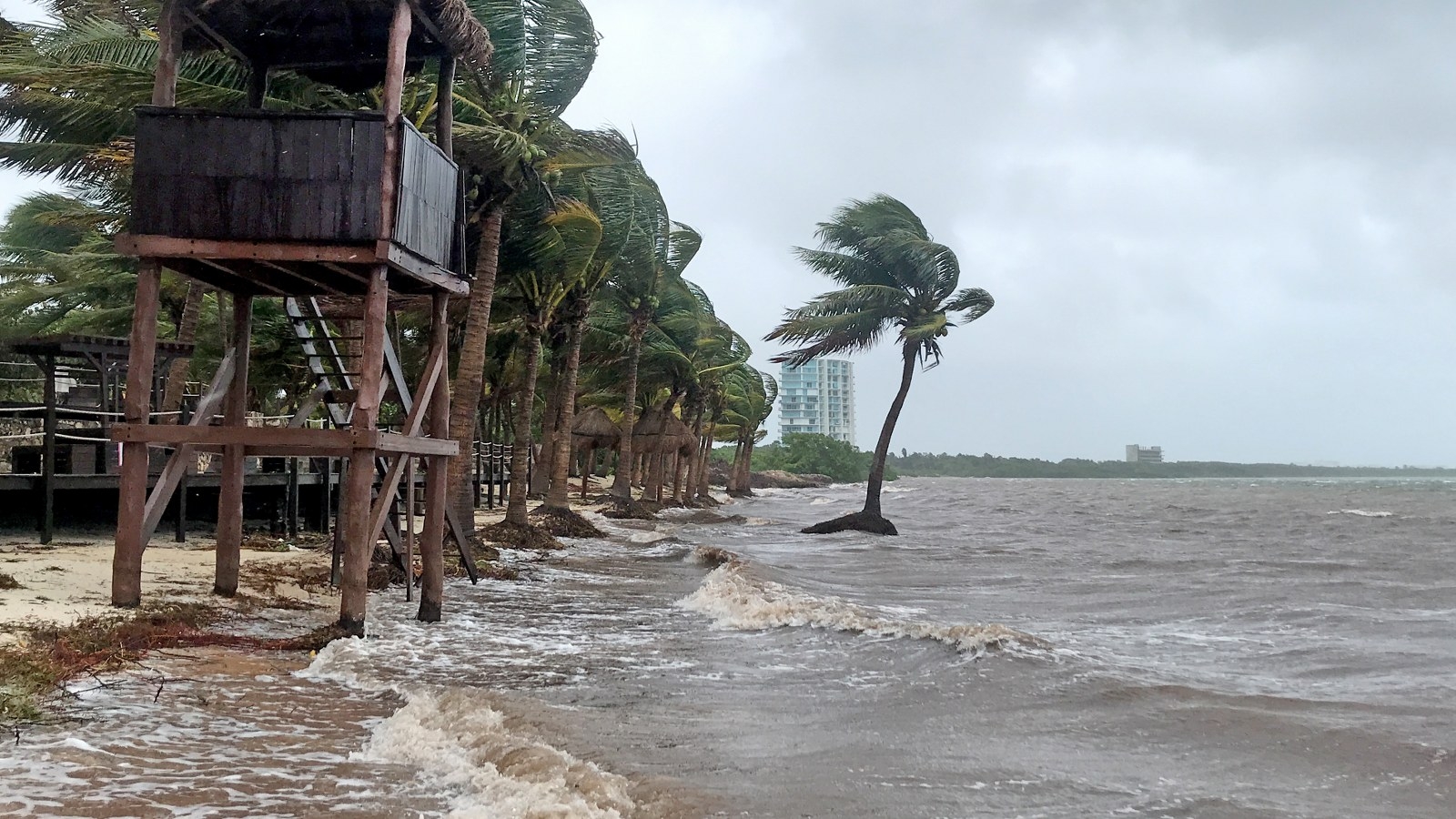 Tormenta Tropical Ian 'vira' levemente hacia Quintana Roo; sigue en vivo su trayectoria