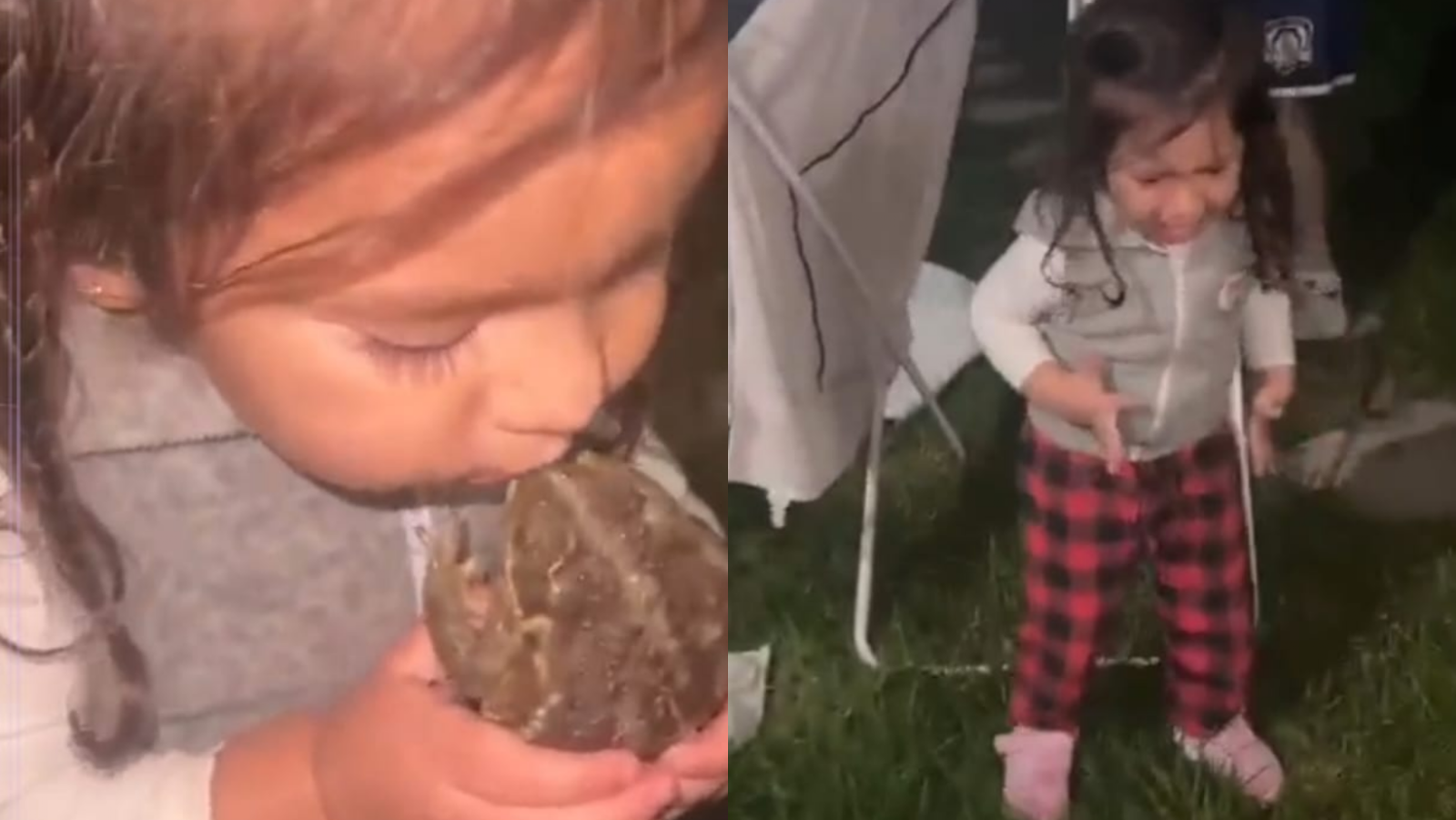VIDEO de niña besando a un sapo se hace viral en TikTok: 'No se convirtió en príncipe'