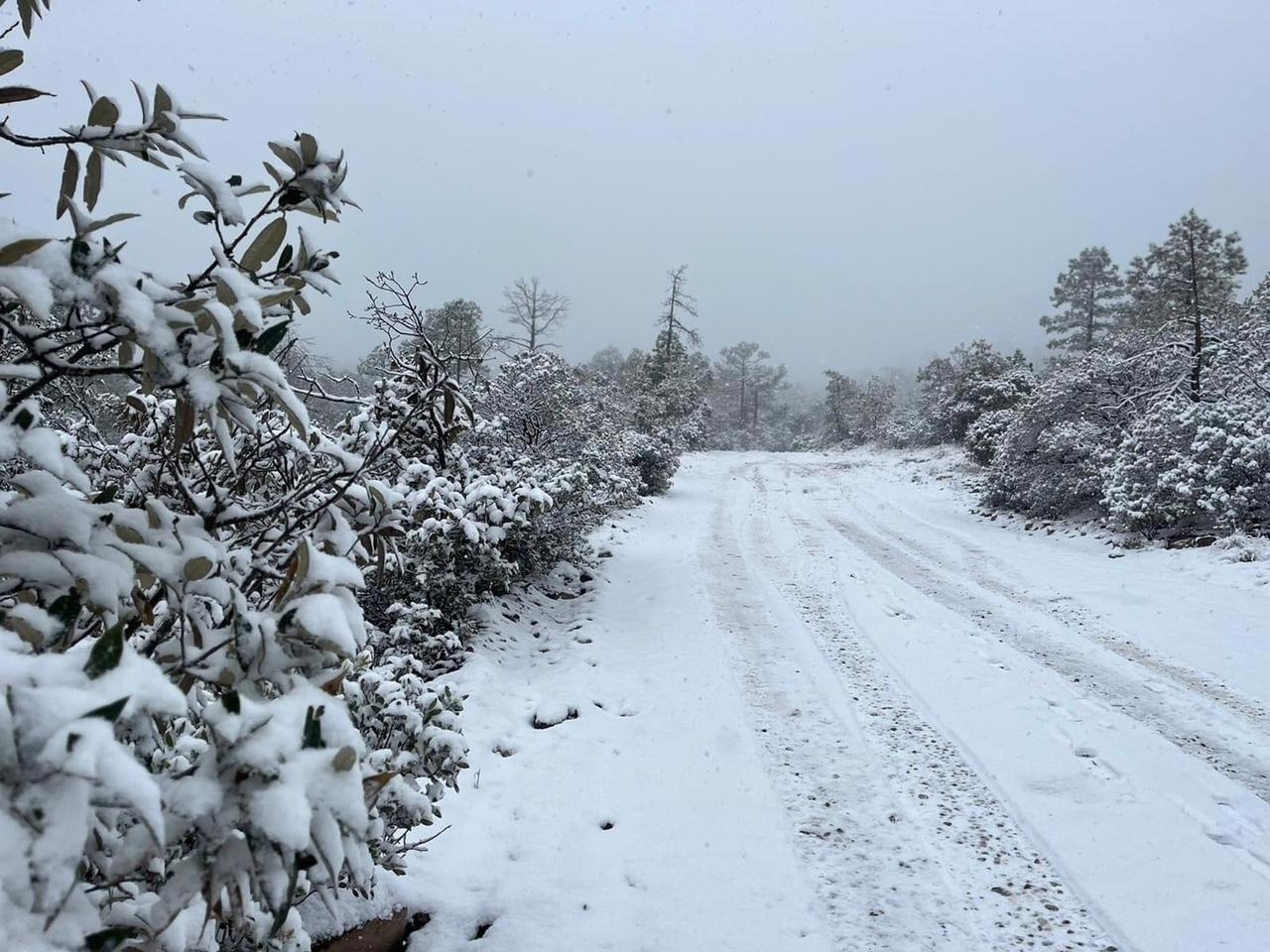 Hay carreteras cerradas en Chihuahua y Sonora por la caída de nieve