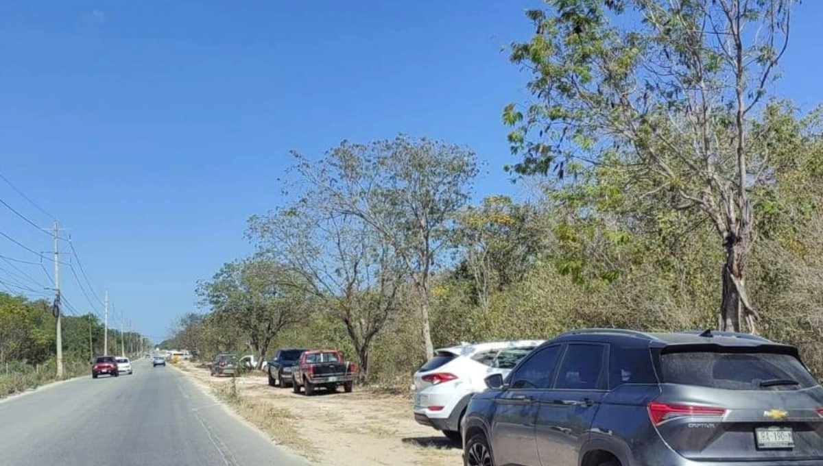 Fiscalía ignora invasión de terrenos y tala de árboles en Playa del Carmen