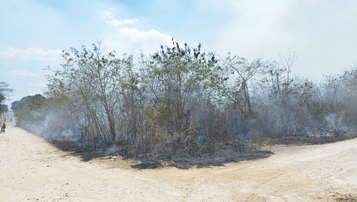 Se incendia un terreno baldío en la colonia 'El Bicentenario' en José María Morelos