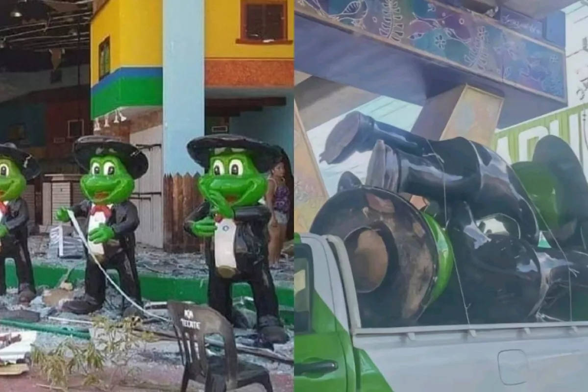 Roban Las Ranas Mariachi Del Se Or Frogs De Acapulco Video Poresto