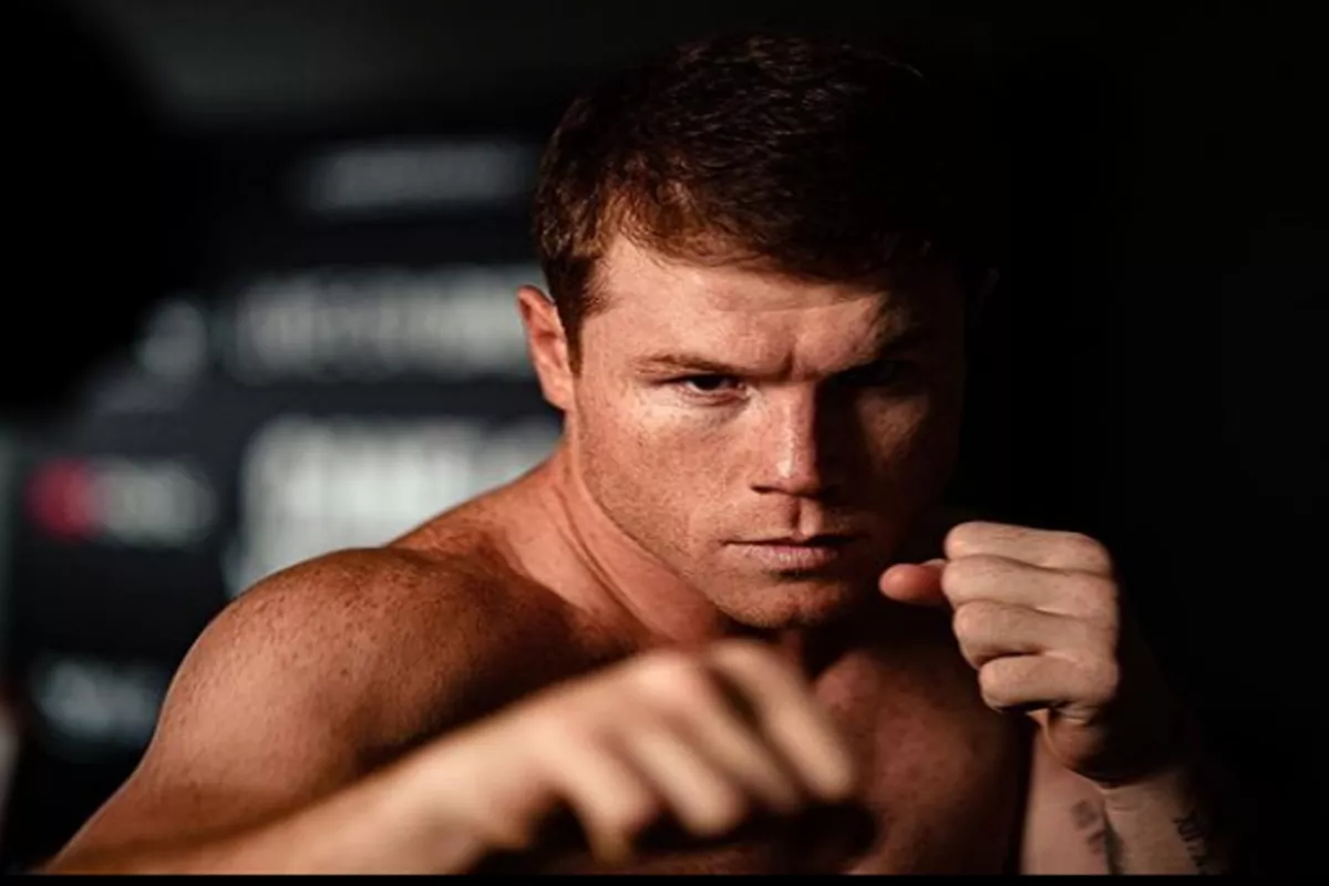 Canelo Álvarez: Estas son sus victorias fuera del ring - PorEsto