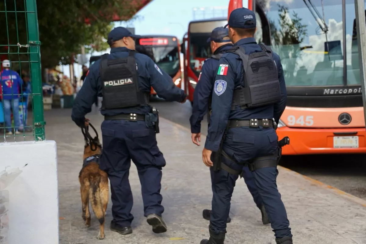 Detienen A Policía De Cancún Luego De Mostrar Sus Partes íntimas En La Calle Poresto