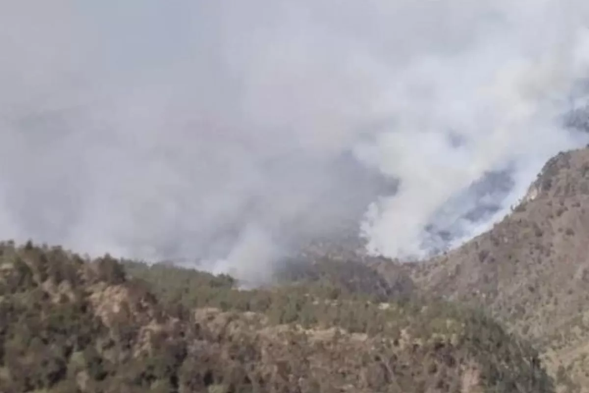 Se Registra Incendio En Faldas Del Pico De Orizaba Poresto 1960