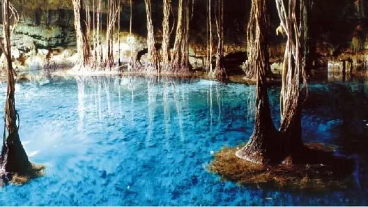 Descubre los cenotes de Campeche: un destino perfecto para Semana Santa ...