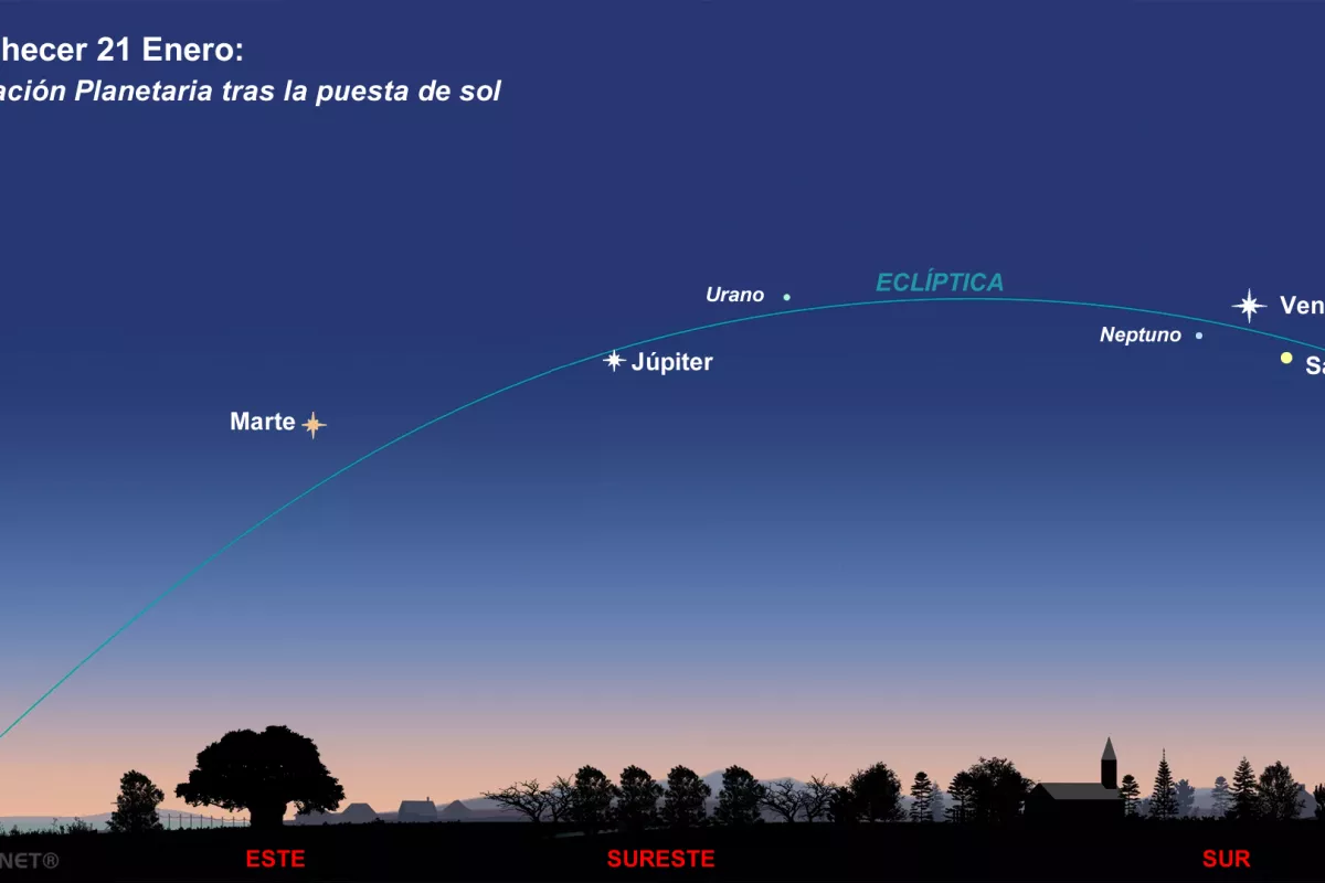 Alineación de en febrero 2025 se verán siete desde