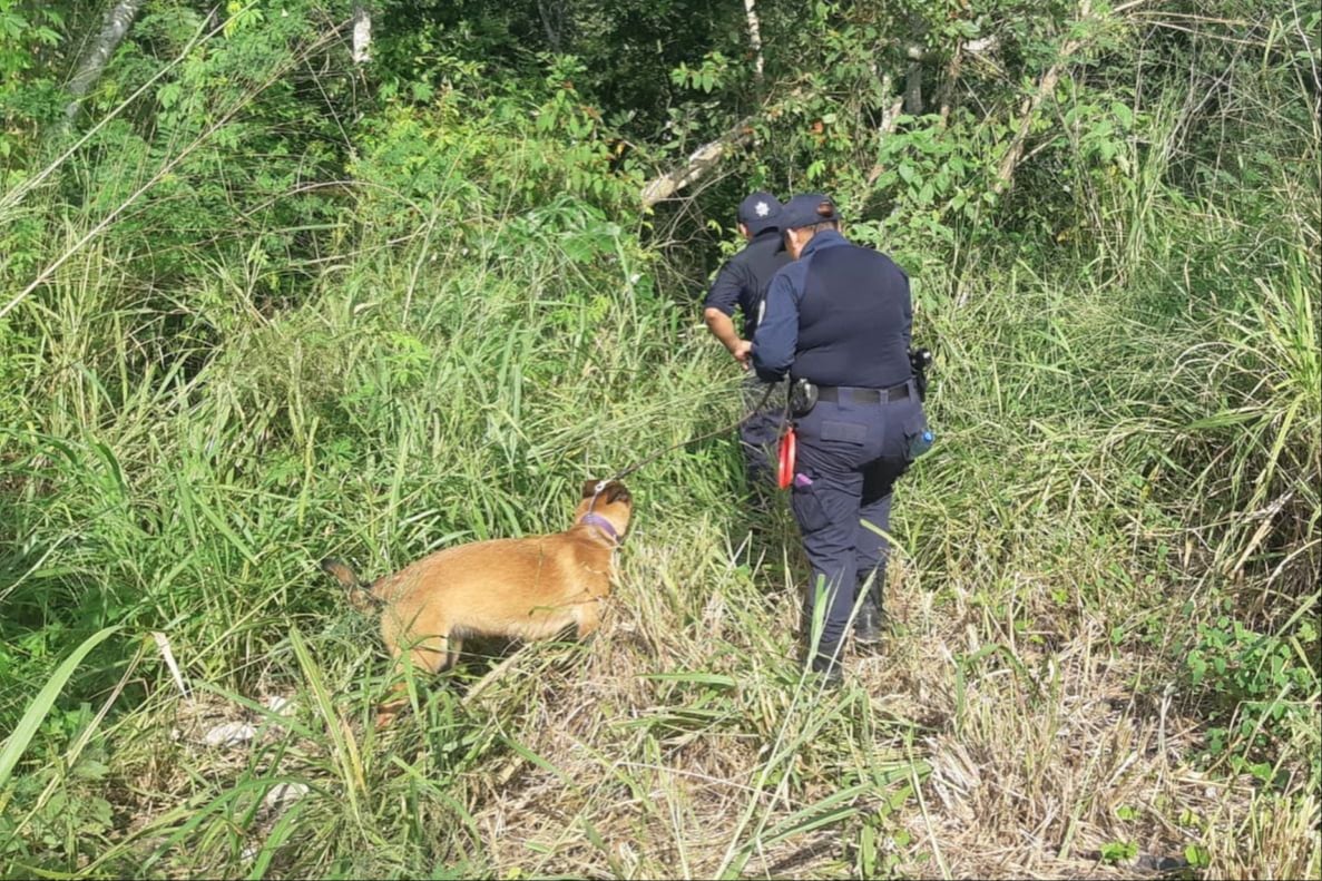 La Zona Maya enfrenta una crisis de desaparecidos sin precedente