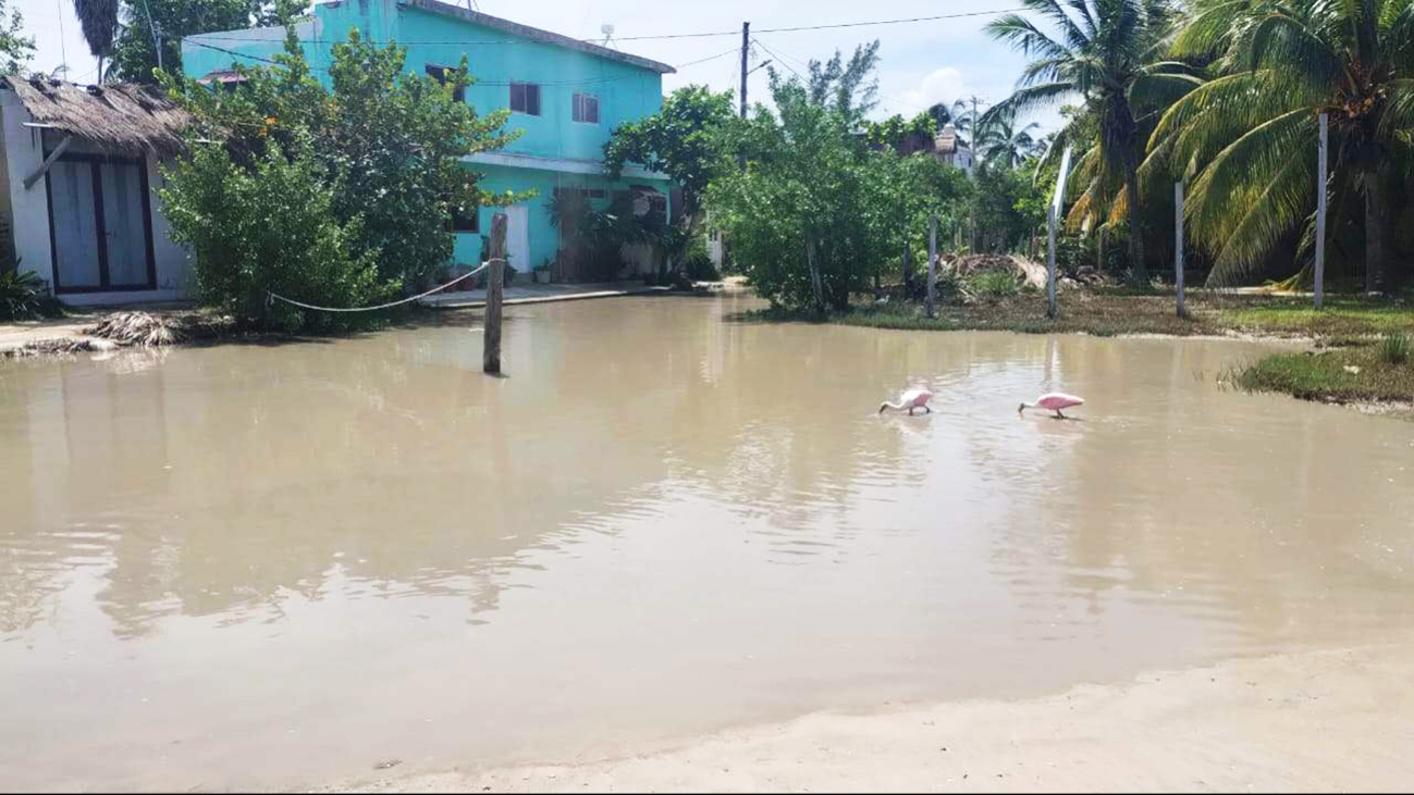 Debido a las inundaciones tras los huracanes, se generaron severas inundaciones