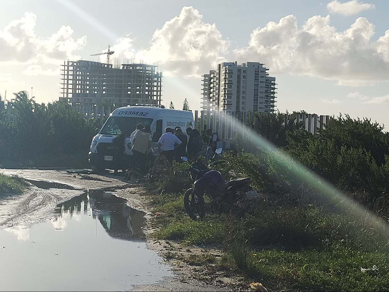 Frente a la playa del Cetmar 17 encontraron órganos de una especie, probablemente de un delfín