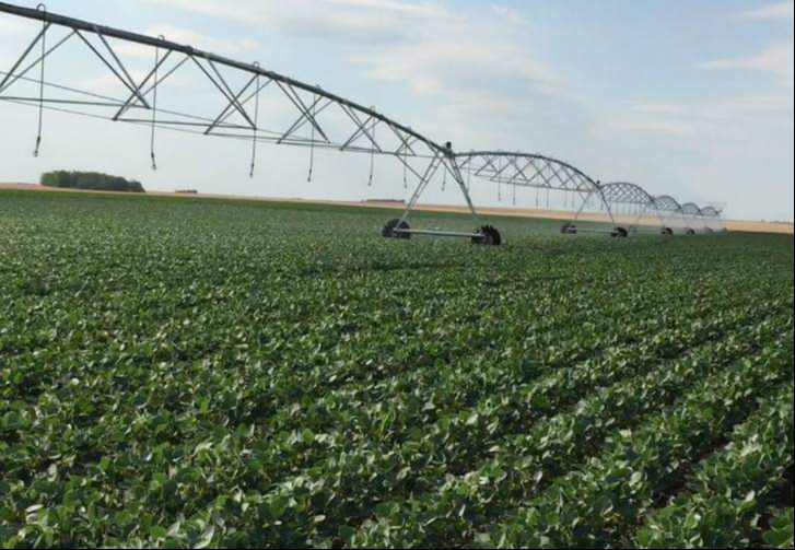 Empresa EnerAll amenaza a pobladores de Tizimín para frenar  las investigaciones por contaminación de agroquímicos