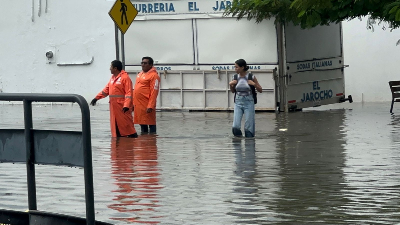 Protección civil arribó a rescatar a ciudadanos