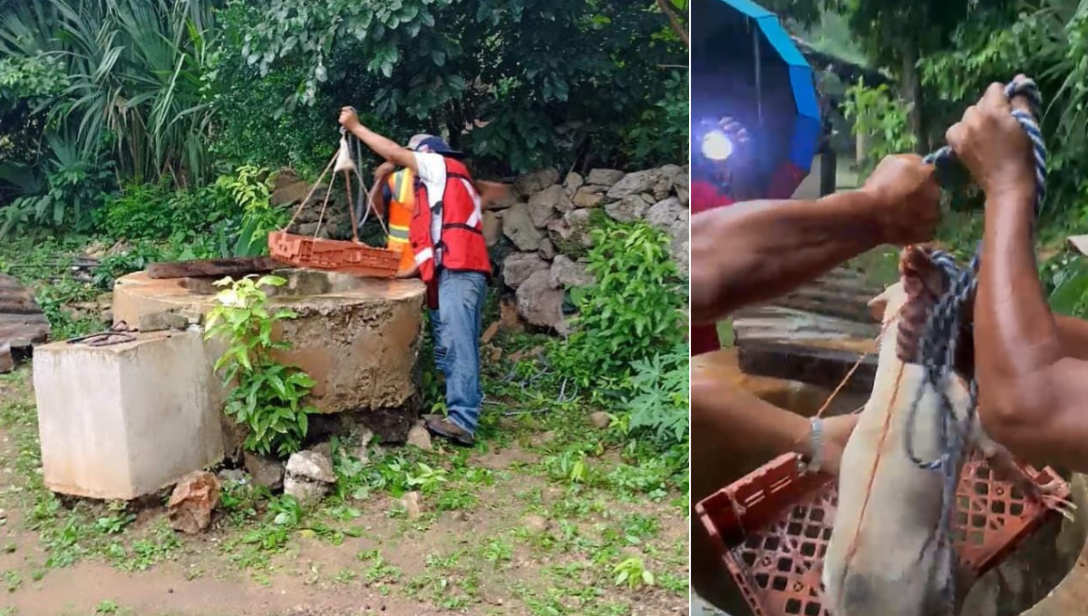 Un perrito cayó en un pozo de 14 metros de profundidad en Tepakán mientras correteaba gatitos