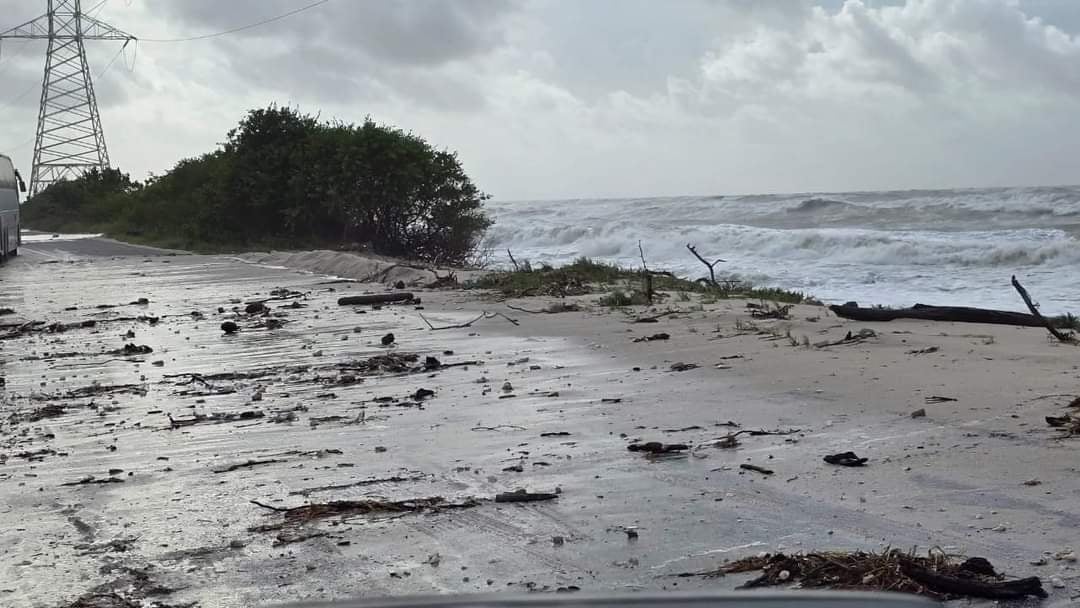 Al ejemplar lo hallaron cerca del kilómetro 50, en el litoral entre Isla Aguada y Sabancuy.