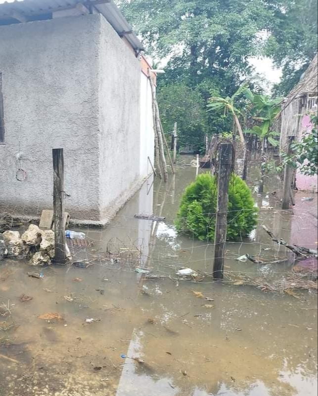 Algunos patios de casas comenzaron a inundarse por las recientes lluvias