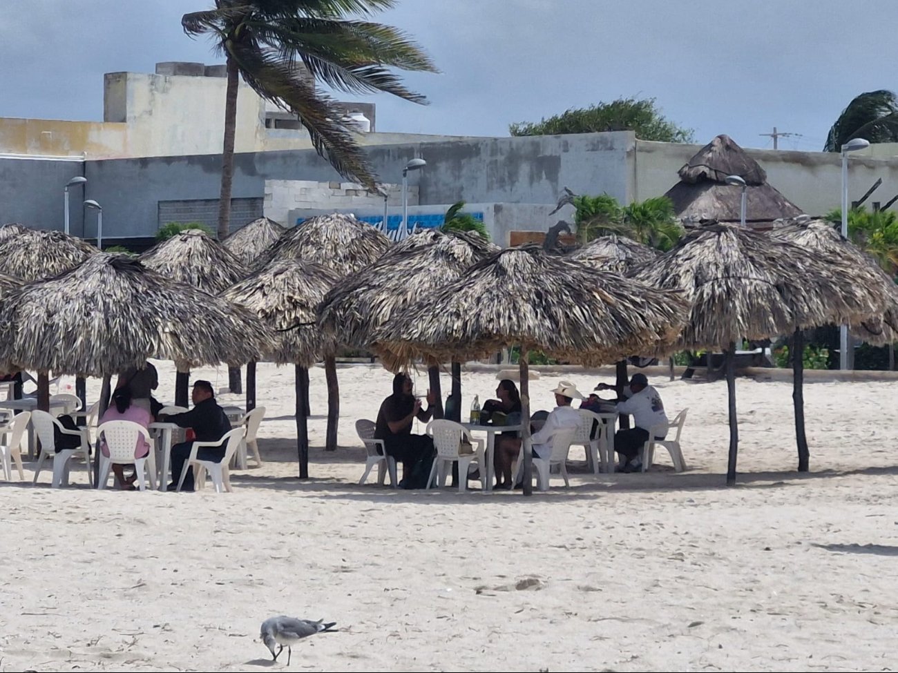 Fuertes rachas de viento se registran en la costa yucateca