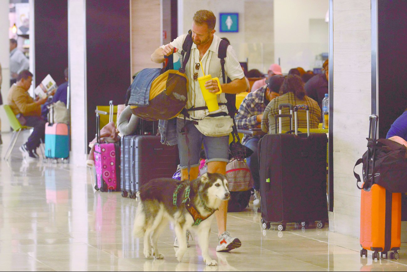 Roque, el husky viajero que robó miradas en el aeropuerto de Cancún