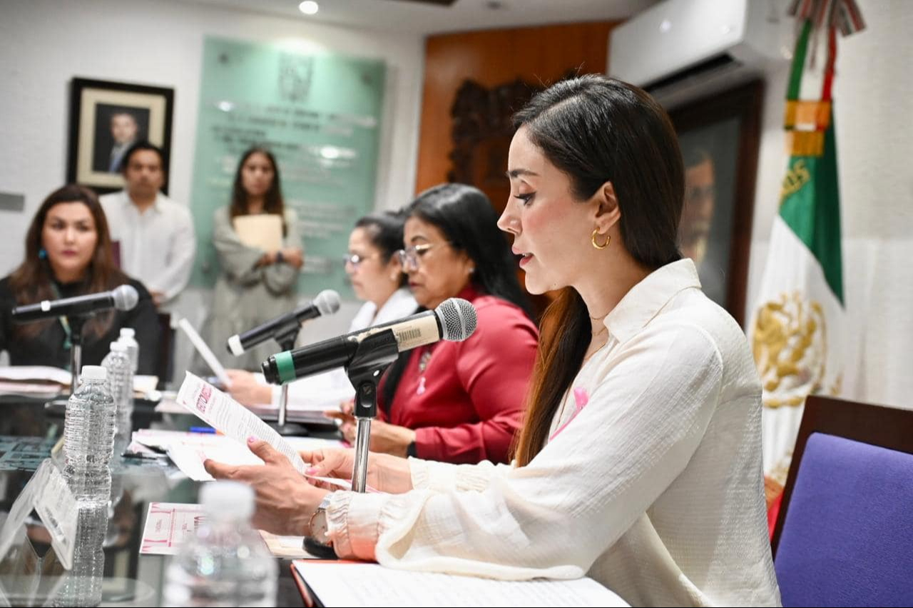 La convocatoria está dirigida a instituciones de salud públicas y privadas, académicas y organizaciones civiles