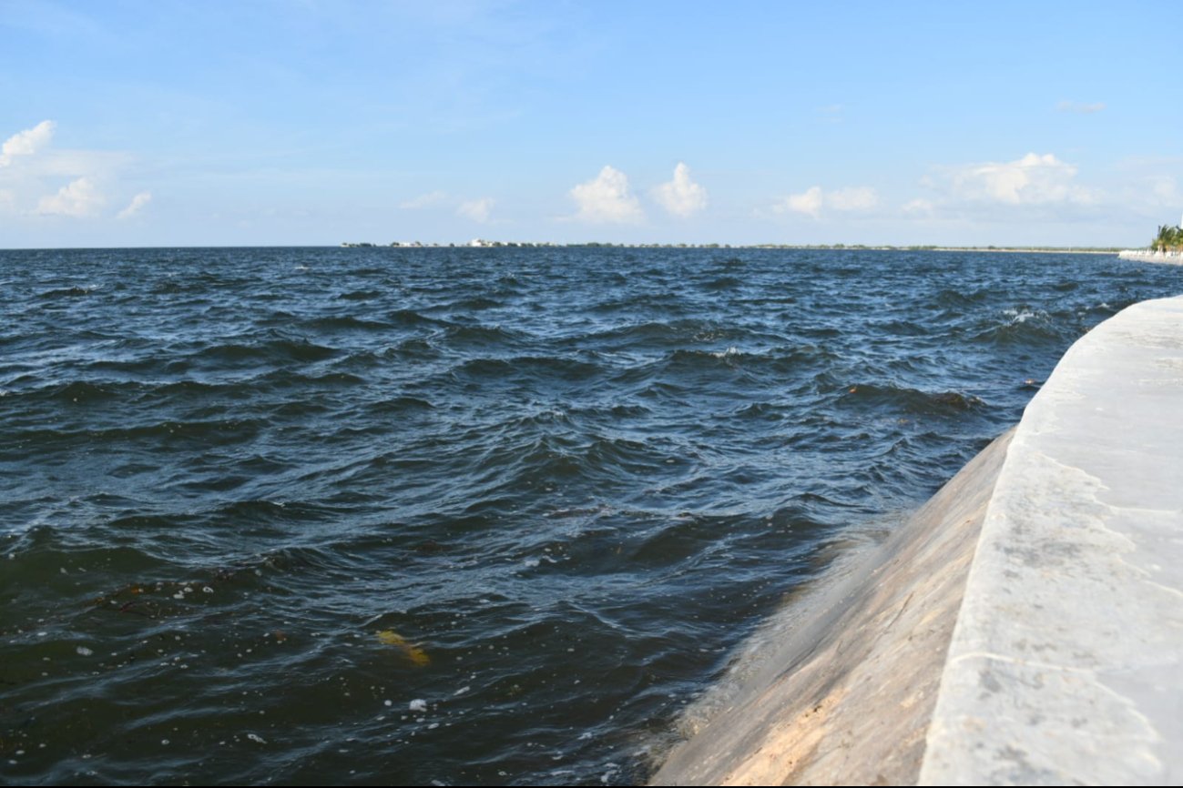 Se espera una "Marea Muy Alta" con un coeficiente de marea de 114, indicando mareas más altas de lo normal