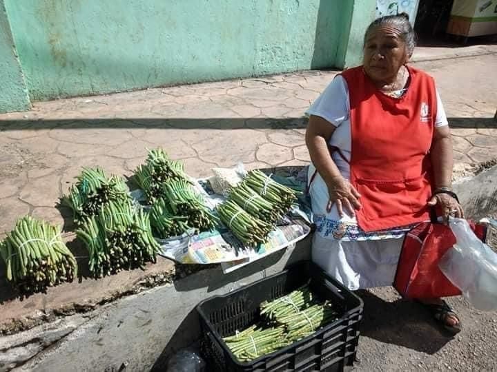 Todos los años el frijol maya incrementa su precio a finales de octubre por la elaboración del mucbipollo