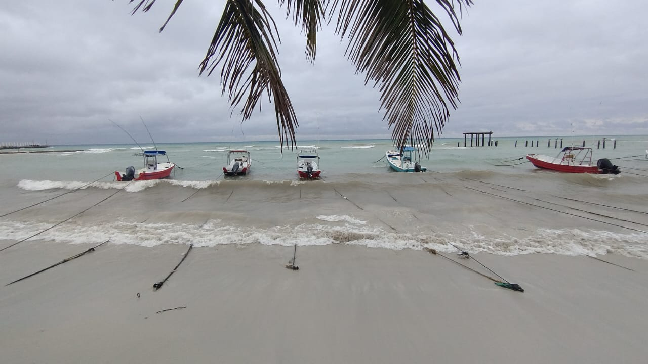 Tormenta Tropical 