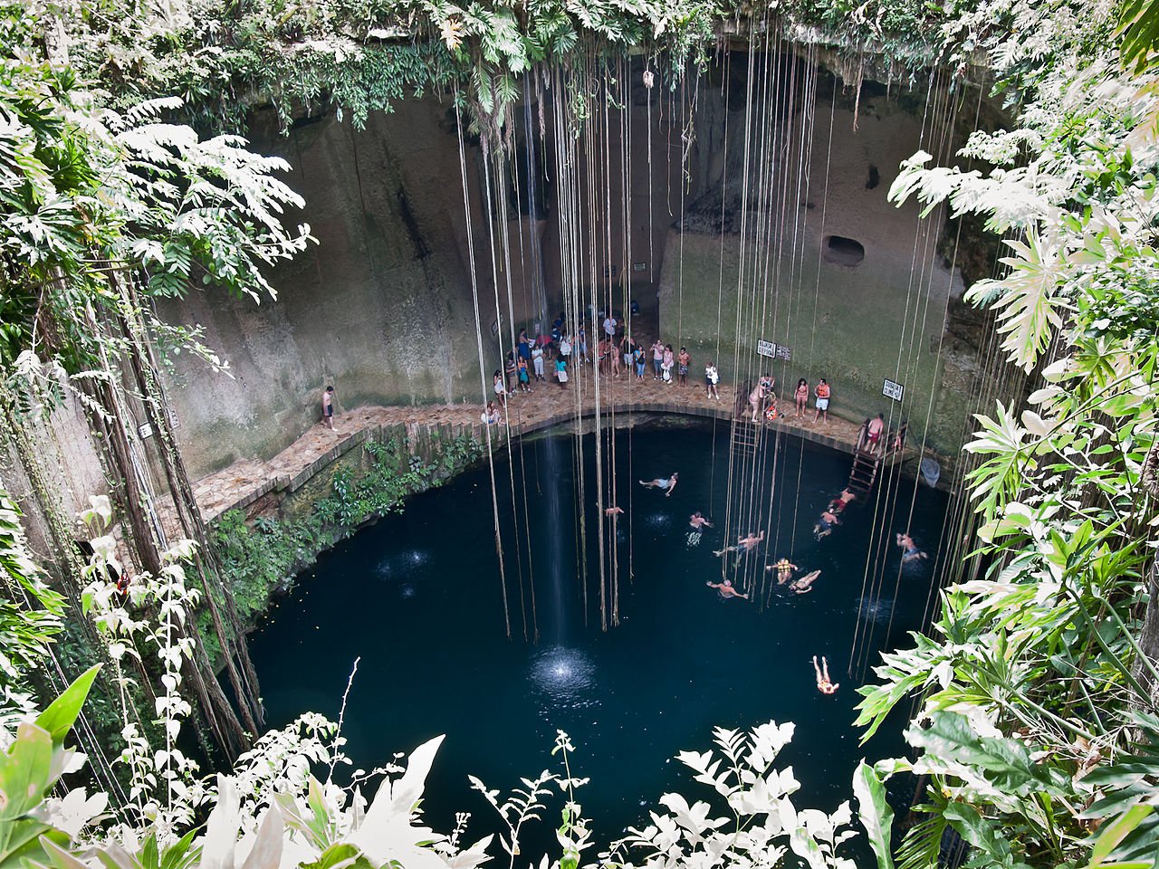 ¿Qué no hacer al visitar un cenote en Quintana Roo?