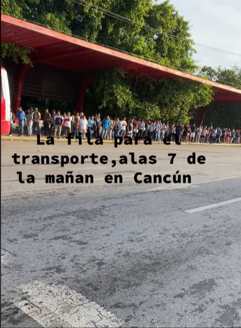 Transporte en Cancún: Exhiben caos para tomar un autobús en la ciudad; los trabajadores lo sufren