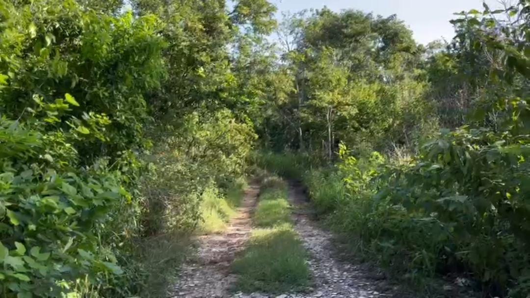 El hallazgo fue hecho por los vecinos de la zona, quienes reportaron a las autoridades