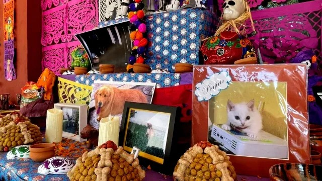 Estos elementos ayudan a guiar y recibir a las ánimas de las mascotas, recordando su alegría y compañía