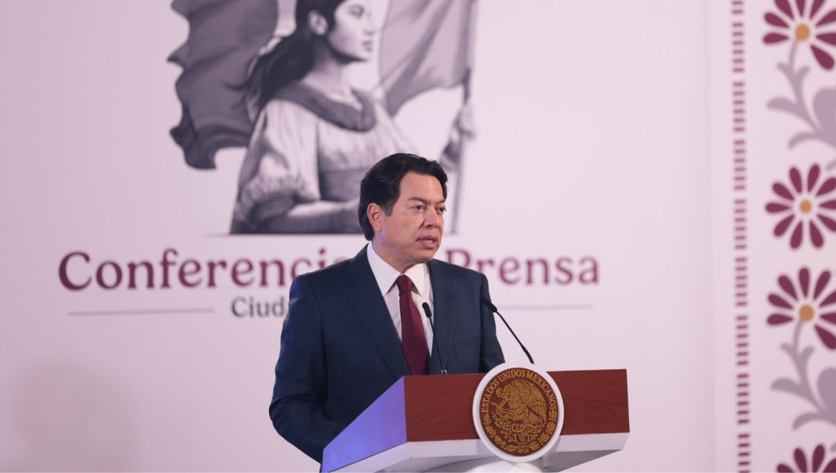 Mario Delgado Carrillo, secretario de Educación Pública