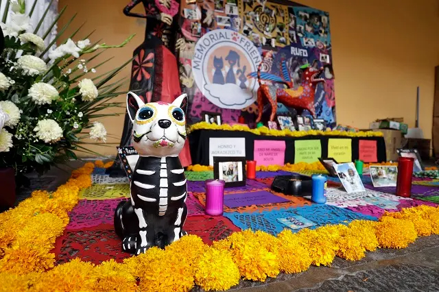 Por tradición del Día de Muertos, también existen ofrendas para las mascotas