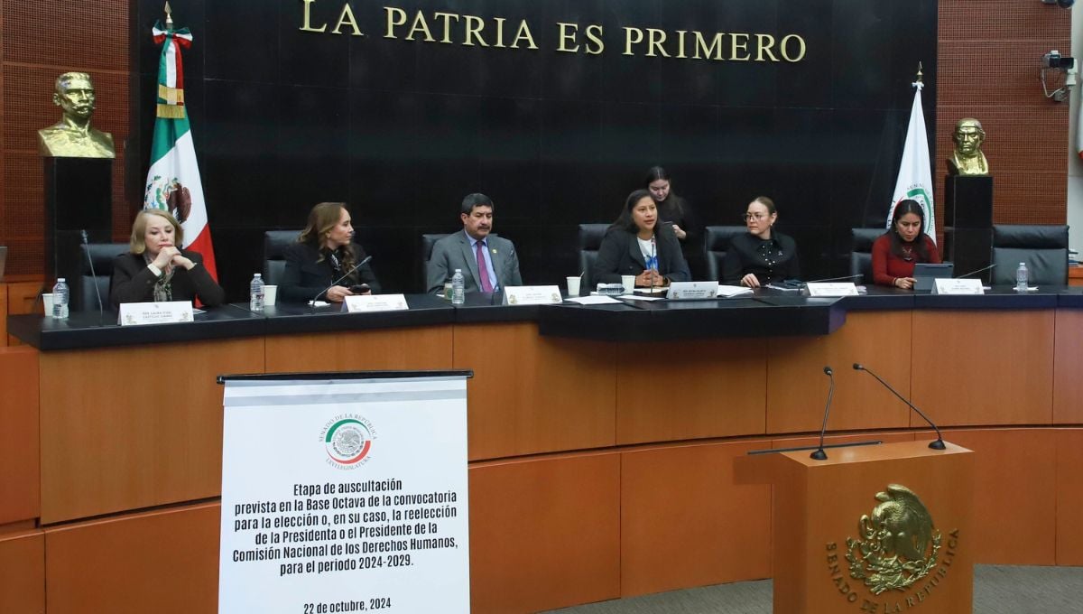 Organizaciones civiles exigen un titular independiente y valiente para la CNDH 