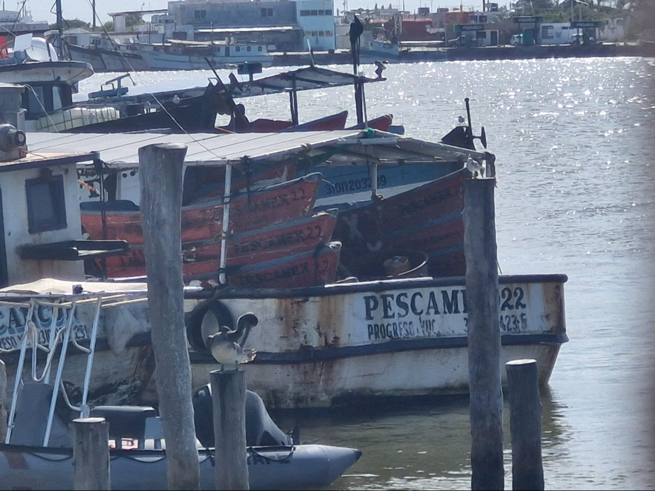 El pescador fue trasladado sin vida a bordo de la embarcación