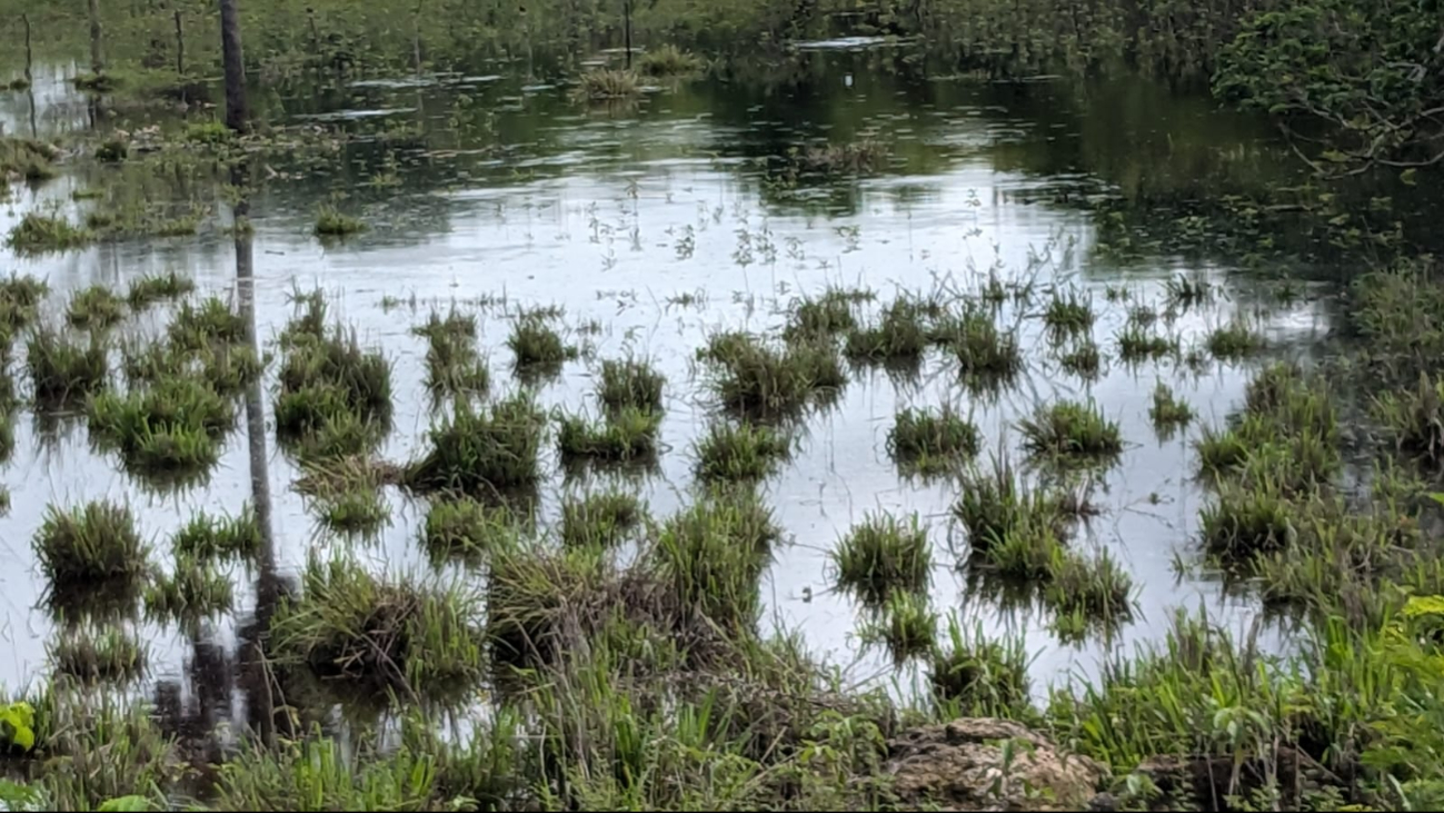 Aguas provenientes de Campeche llegaron hasta la zona de ranchos causando las inundaciones