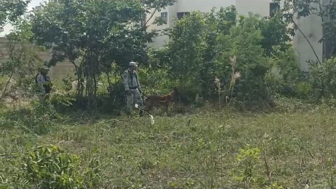 Con ayuda de la unidad canina se buscan los restos del joven desaparecido