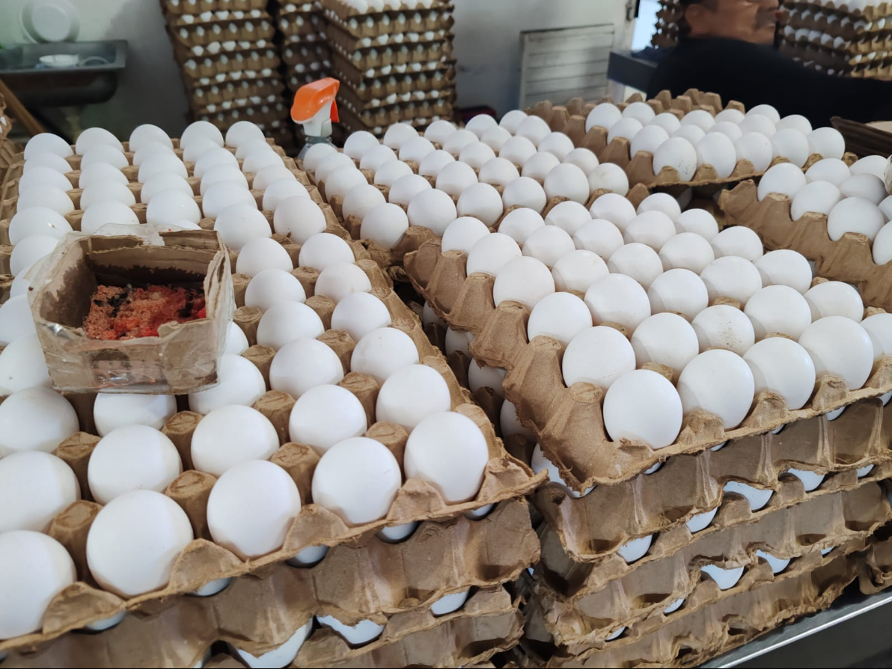 Reja de huevos costaría hasta 100 pesos por Día de Muertos en Campeche